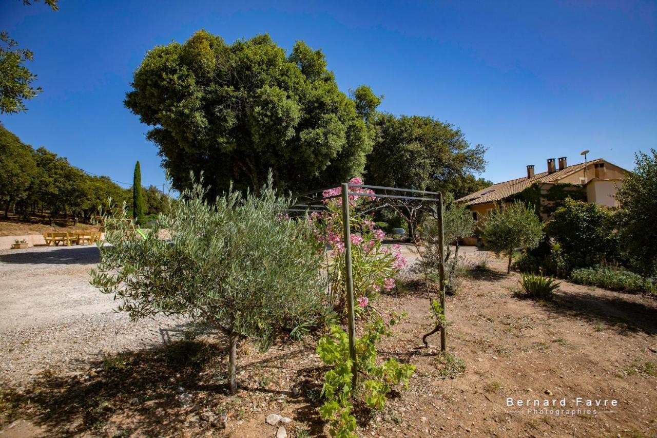 Mas Saint Antoine Villa Bourg-Saint-Andeol Exterior photo